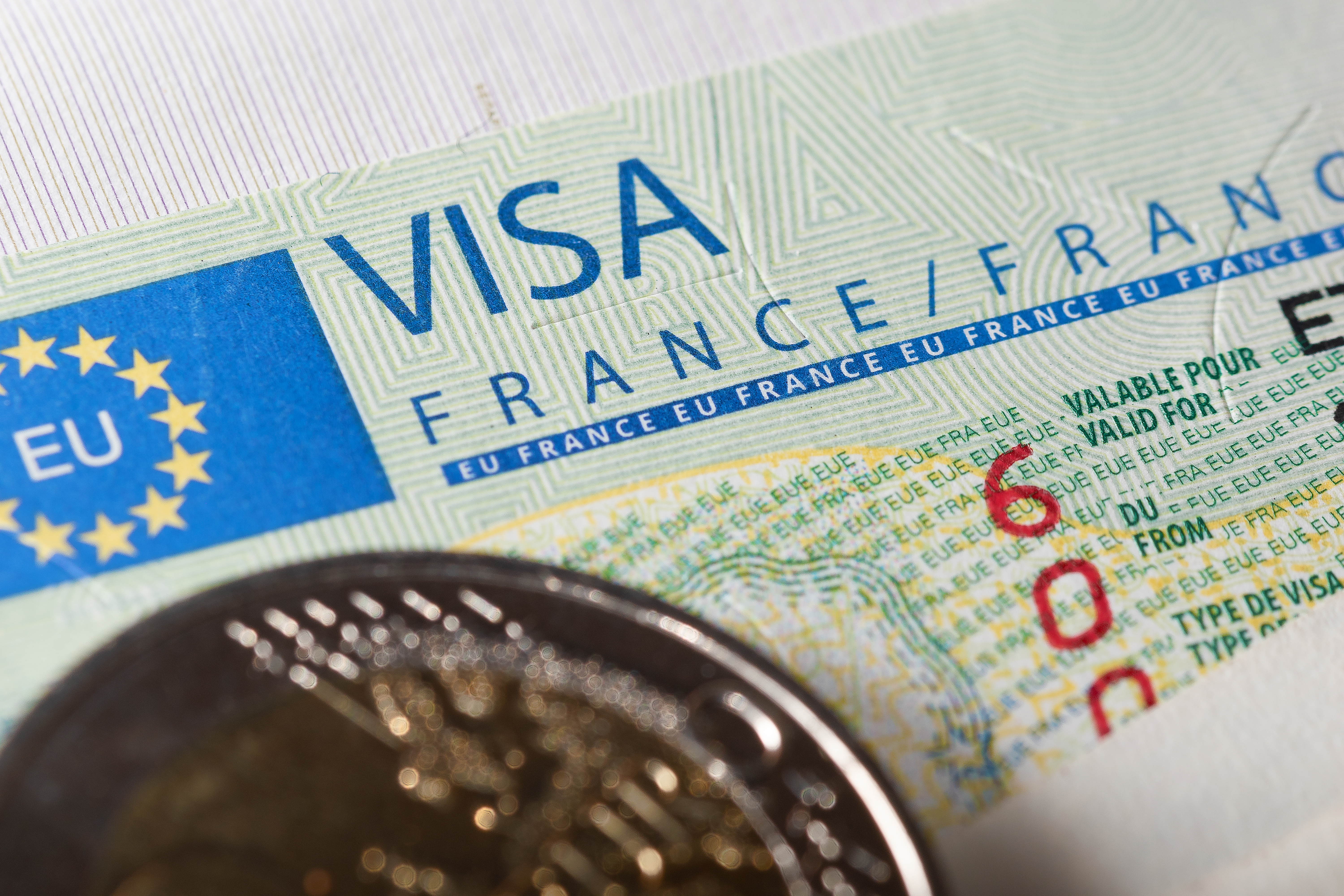 Как получить ВНЖ во Франции через стартап визу French Tech Visa