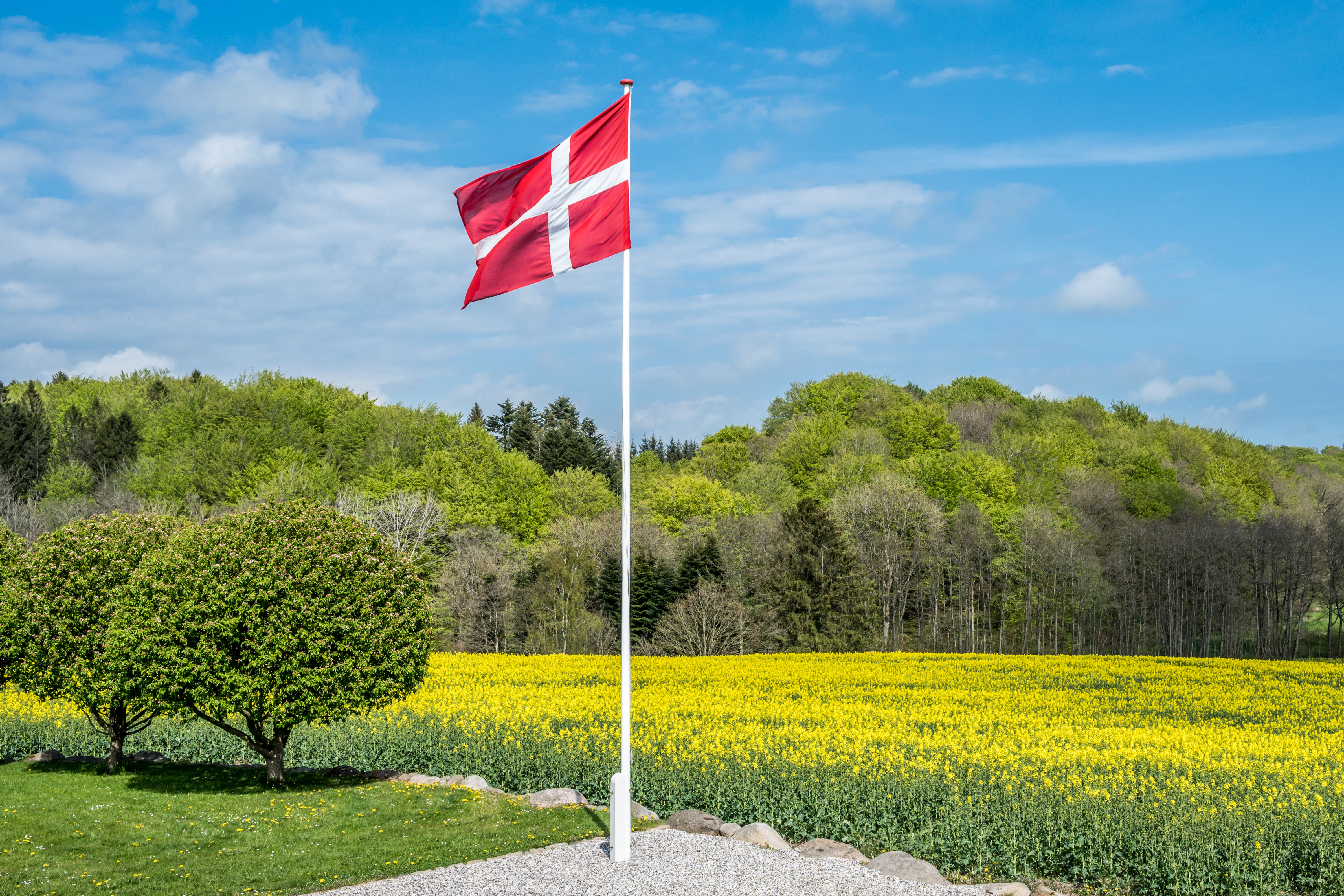 Получение гражданства Дании в 2024 году