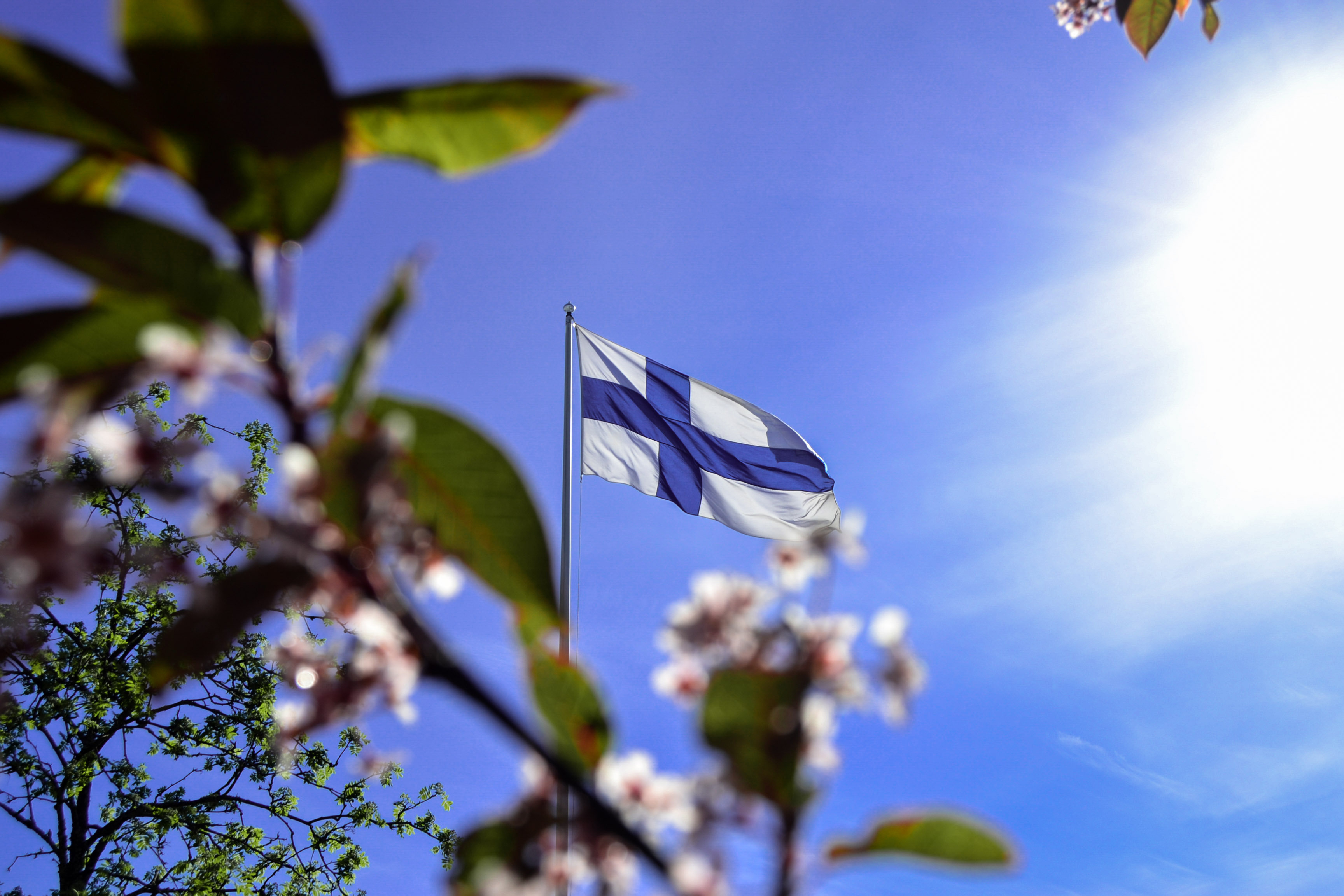 Вид на жительство в Финляндии: все способы получения